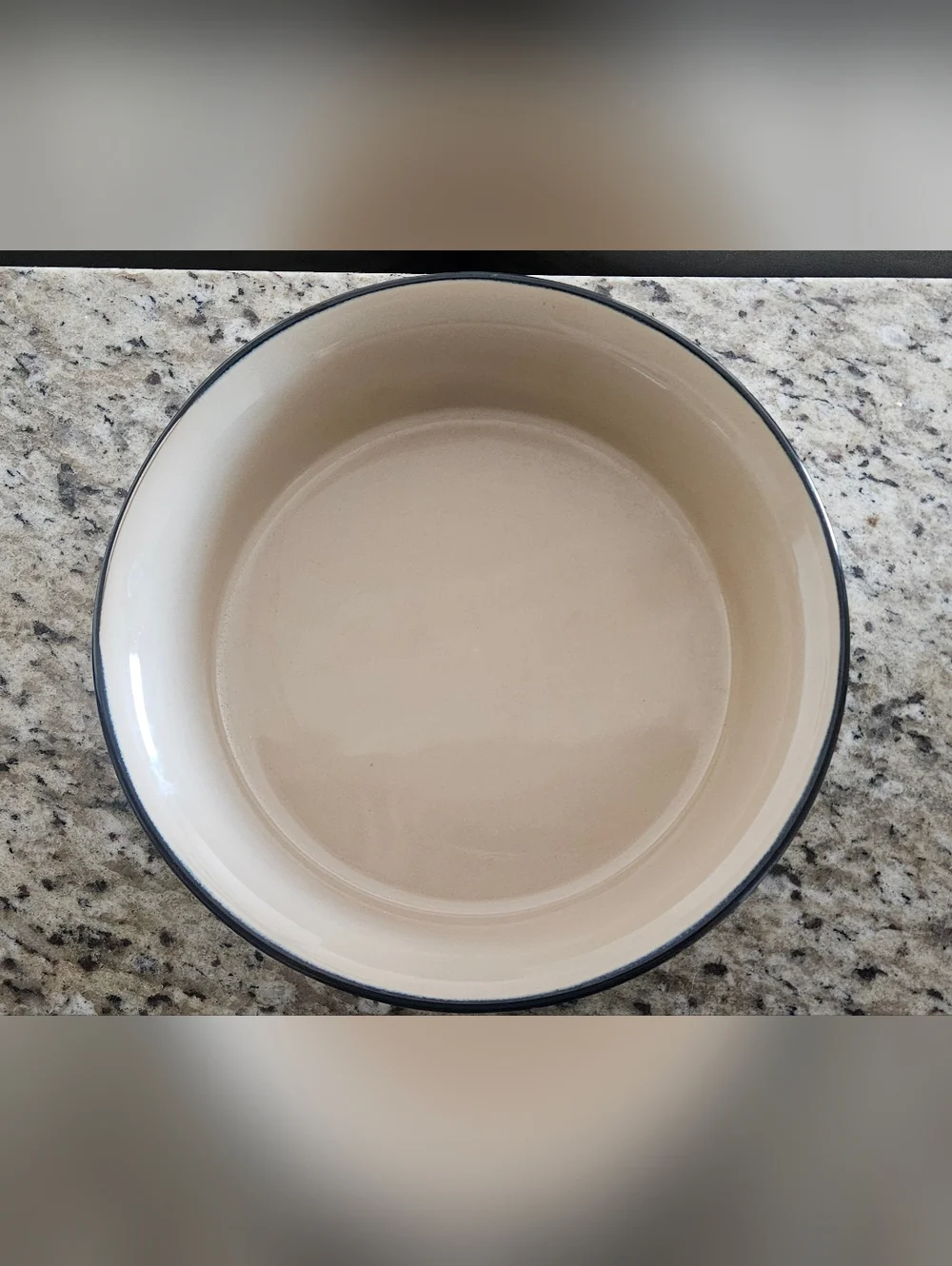 Gibson Round Ceramic Dog Bowl in Tan with Cream Rim With Green Leaves On Side